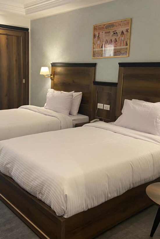 Stay at The Temple Hotel Luxor - Premium Downtown Luxor Accommodations